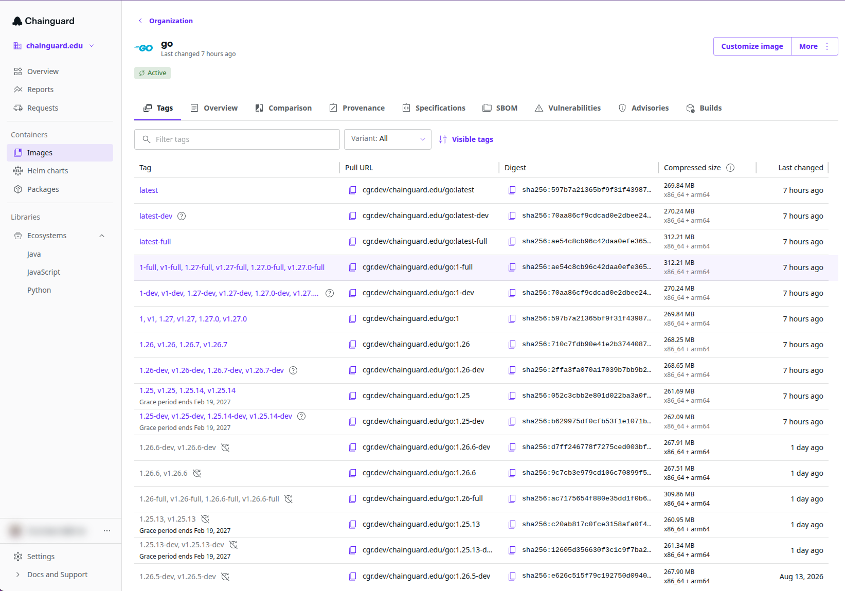 Screenshot of the Container Details page for the go image, showing the 'Tags' tab.